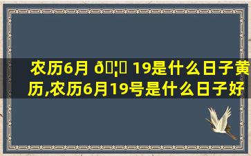 农历6月 🦈 19是什么日子黄历,农历6月19号是什么日子好不好